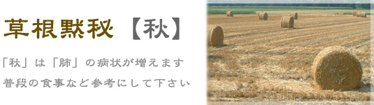 秋の症状、漢方