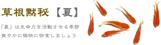 夏の症状、漢方